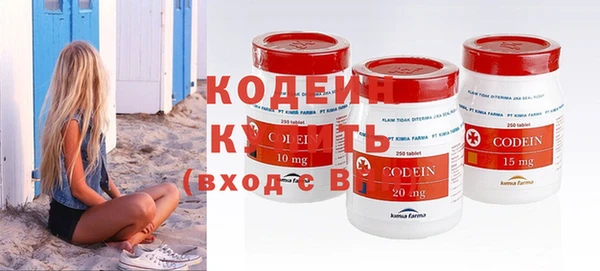 стаф Каменка