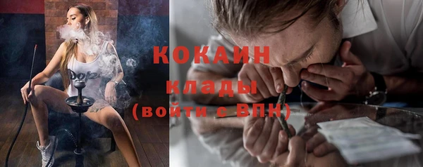 стаф Каменка