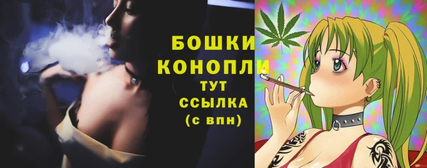 стаф Каменка