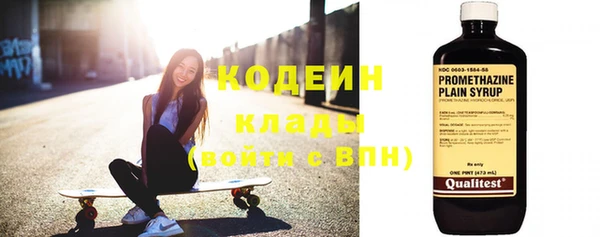 стаф Каменка