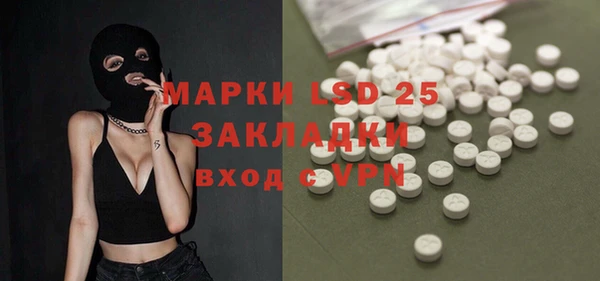 стаф Каменка