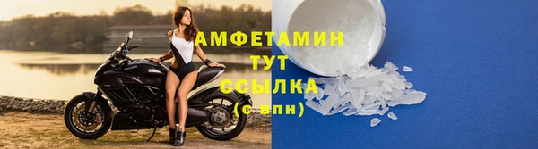стаф Каменка