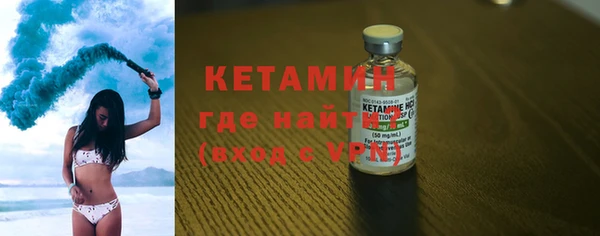 стаф Каменка