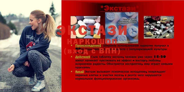 стаф Каменка