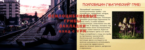 apvp Каменногорск