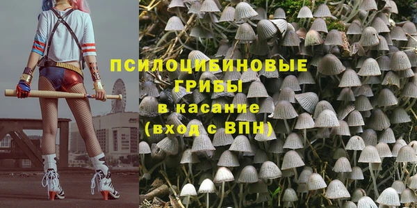 apvp Каменногорск