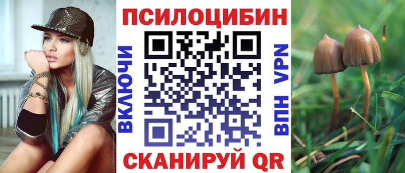 Псилоцибиновые грибы прущие грибы  цены наркотик  Ковылкино 